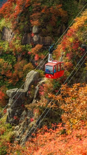 無料スマホ壁紙 紅葉と奇岩に包まれるゴンドラ。AndroidとiPhoneに対応した4K高画質の無料待ち受け画像。三重県菰野町の御在所ロープウエイで撮影したフリー写真素材