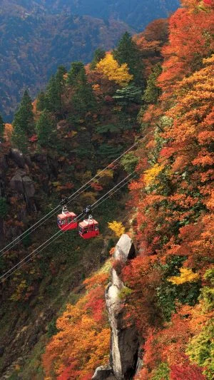 無料壁紙 富士見岩展望台からゴンドラをズームアップして撮影。PCとデスクトップ壁紙に最適な4K高画質の無料壁紙。三重県菰野町の御在所ロープウエイで撮影したフリー写真素材