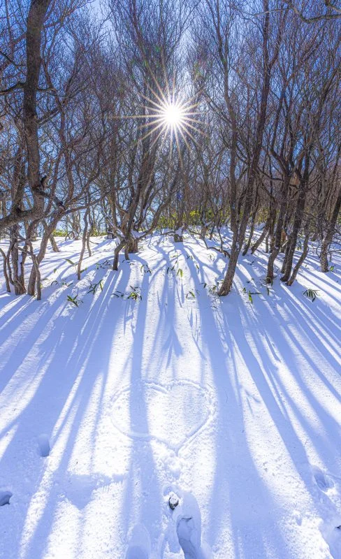 無料スマホ壁紙 ハートの雪。AndroidとiPhoneに対応した4K高画質の無料待ち受け画像。三重県菰野町の御在所ロープウエイで撮影したフリー写真素材