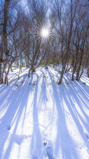 無料スマホ壁紙 ハートの雪。AndroidとiPhoneに対応した4K高画質の無料待ち受け画像。三重県菰野町の御在所ロープウエイで撮影したフリー写真素材