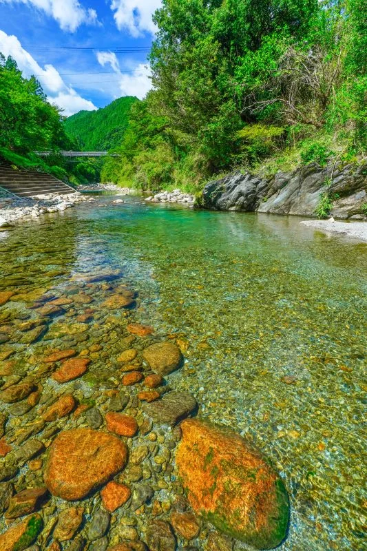 無料スマホ壁紙 エメラルド香肌グリーン。AndroidとiPhoneに対応した4K高画質の無料待ち受け画像。三重県松阪市の香肌峡で撮影したフリー写真素材