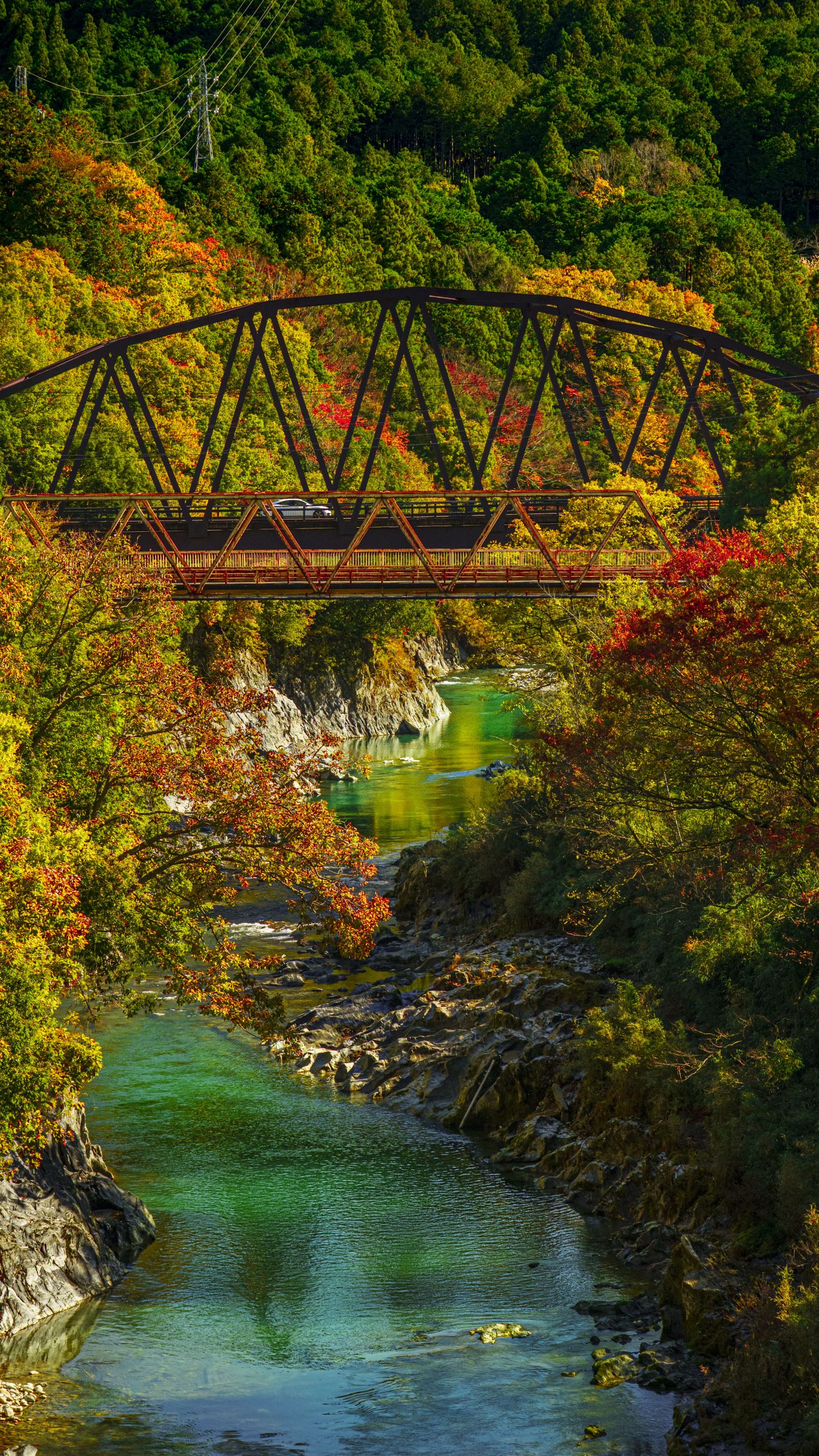 香肌峡の紅葉(三重県松阪市)