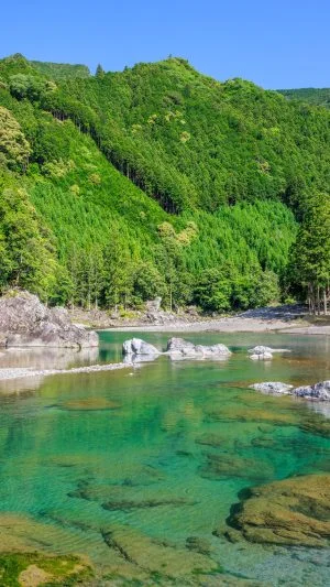 無料スマホ壁紙 美しい清流。AndroidとiPhoneに対応した4K高画質の無料待ち受け画像。三重県大台町のからすき谷公園で撮影したフリー写真素材