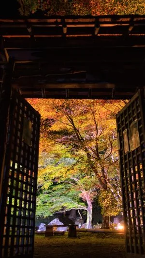 無料壁紙 庭園入口から眺める紅葉。PCとデスクトップ壁紙に最適な4K高画質の無料壁紙。三重県津市の北畠神社で撮影したフリー写真素材