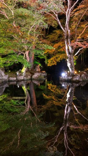 無料壁紙 逆さ紅葉。PCとデスクトップ壁紙に最適な4K高画質の無料壁紙。三重県津市の北畠神社で撮影したフリー写真素材