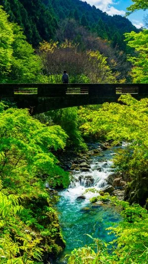 無料壁紙 新緑の河内渓谷。PCとデスクトップ壁紙に最適な4K高画質の無料壁紙。三重県津市の河内渓谷で撮影したフリー写真素材