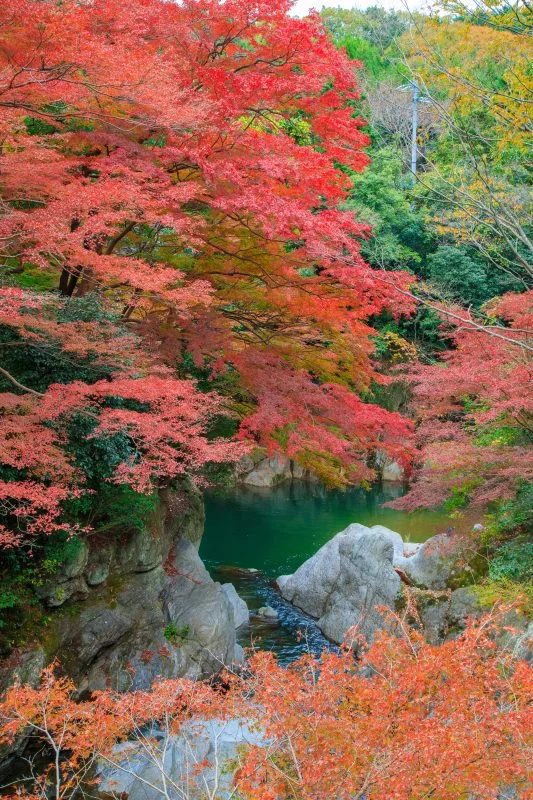 無料スマホ壁紙 巨岩が織りなす渓谷美。AndroidとiPhoneに対応した4K高画質の無料待ち受け画像。三重県津市の河内渓谷で撮影したフリー写真素材