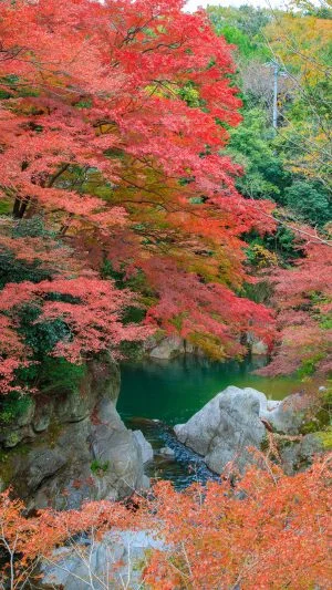 無料スマホ壁紙 巨岩が織りなす渓谷美。AndroidとiPhoneに対応した4K高画質の無料待ち受け画像。三重県津市の河内渓谷で撮影したフリー写真素材