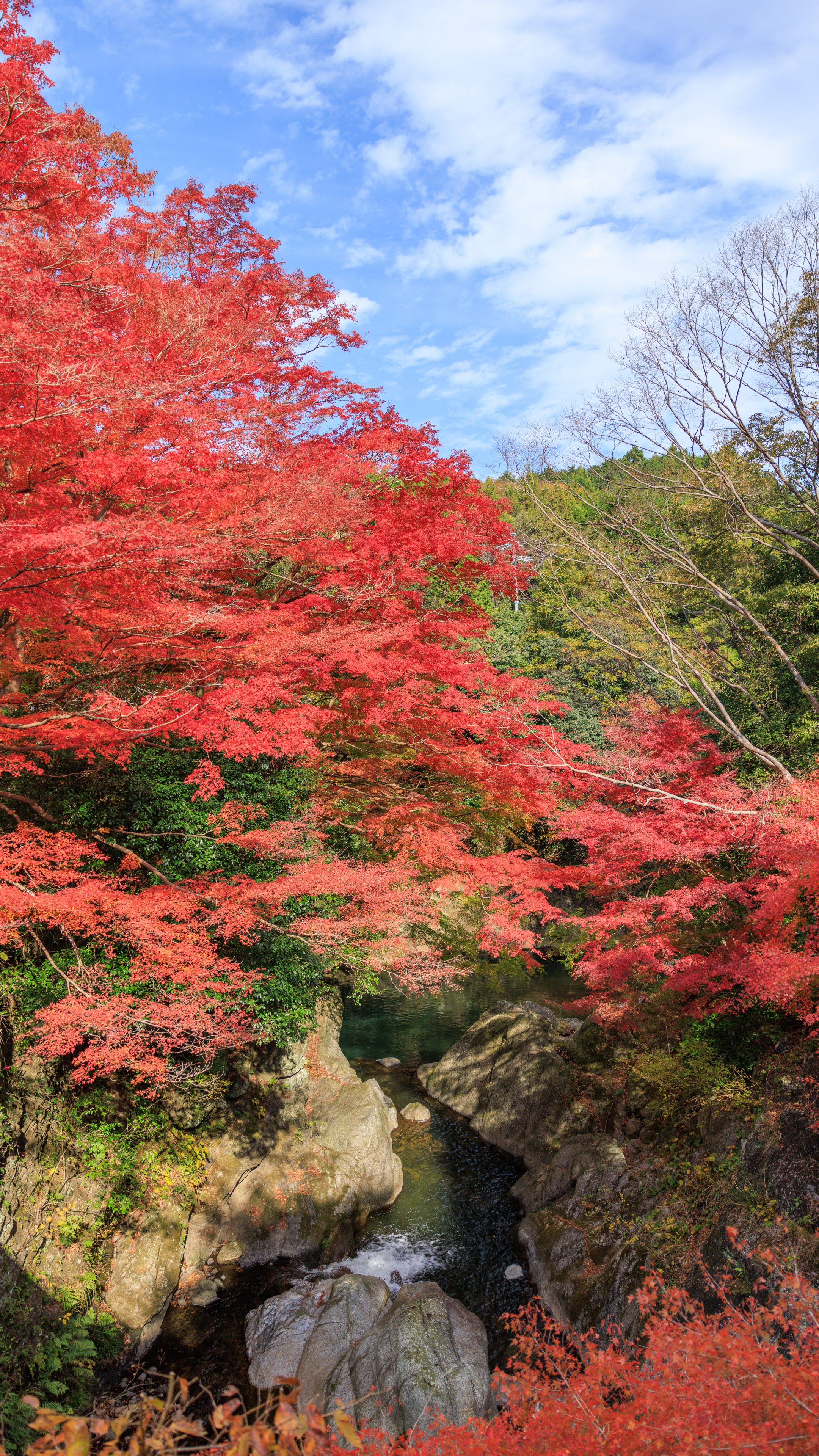 無料スマホ壁紙 紅葉に包まれる渓谷。AndroidとiPhoneに対応した4K高画質の無料待ち受け画像。三重県津市の河内渓谷で撮影したフリー写真素材