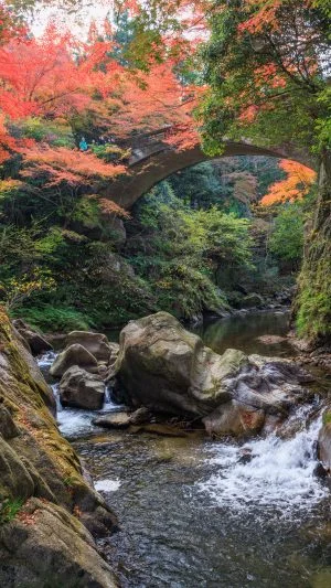 無料スマホ壁紙 川から眺める忍田橋と紅葉。AndroidとiPhoneに対応した4K高画質の無料待ち受け画像。三重県津市の河内渓谷で撮影したフリー写真素材