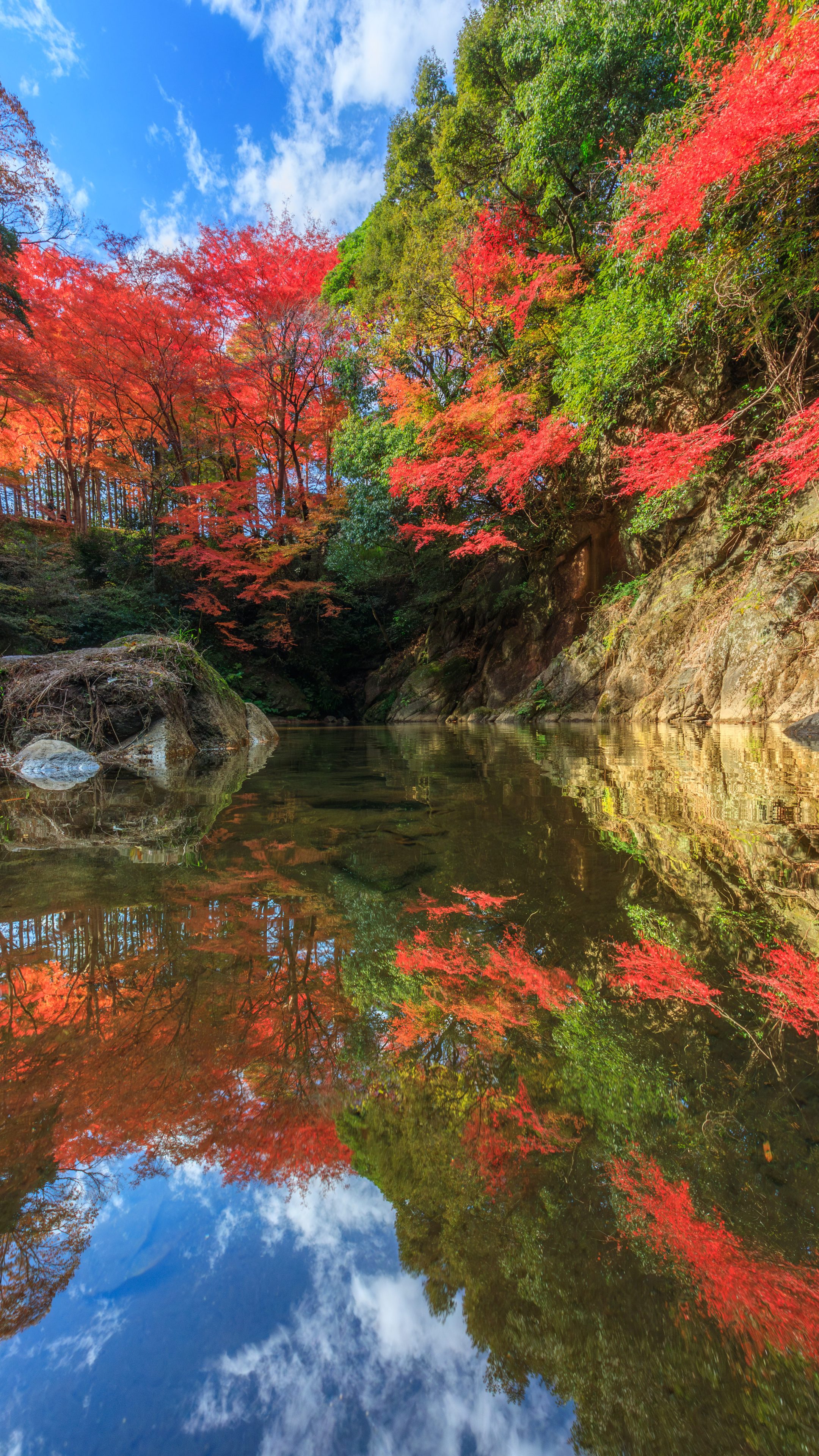 紅葉が映る清流(三重県津市・河内渓谷)