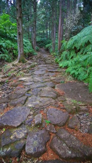 無料スマホ壁紙 春の石畳。AndroidとiPhoneに対応した4K高画質の無料待ち受け画像。三重県紀北町の馬越峠で撮影したフリー写真素材