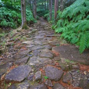 無料スマホ壁紙 春の石畳。AndroidとiPhoneに対応した4K高画質の無料待ち受け画像。三重県紀北町の馬越峠で撮影したフリー写真素材