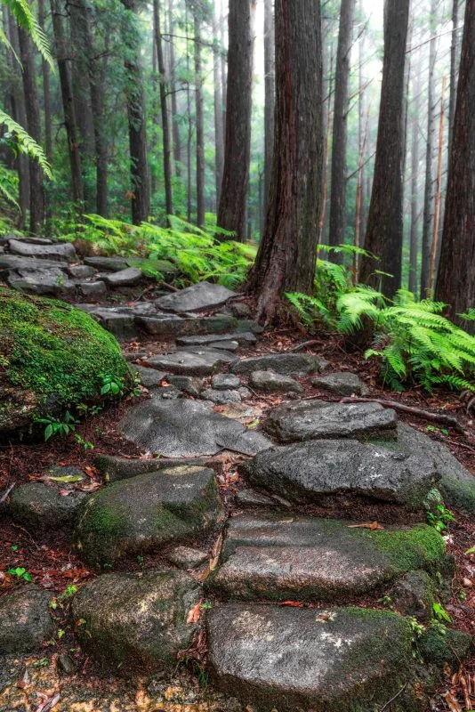 無料スマホ壁紙 雨に濡れてしっとり映る石畳（尾鷲側）。AndroidとiPhoneに対応した4K高画質の無料待ち受け画像。三重県紀北町の馬越峠で撮影したフリー写真素材