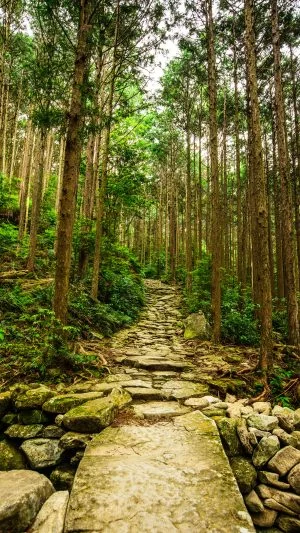 無料スマホ壁紙 石畳の橋。AndroidとiPhoneに対応した4K高画質の無料待ち受け画像。三重県紀北町の馬越峠で撮影したフリー写真素材