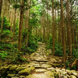 無料スマホ壁紙 石畳の橋。AndroidとiPhoneに対応した4K高画質の無料待ち受け画像。三重県紀北町の馬越峠で撮影したフリー写真素材