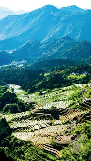 無料スマホ壁紙 熊野のマチュピチュ。AndroidとiPhoneに対応した4K高画質の無料待ち受け画像。三重県熊野市の丸山千枚田で撮影したフリー写真素材