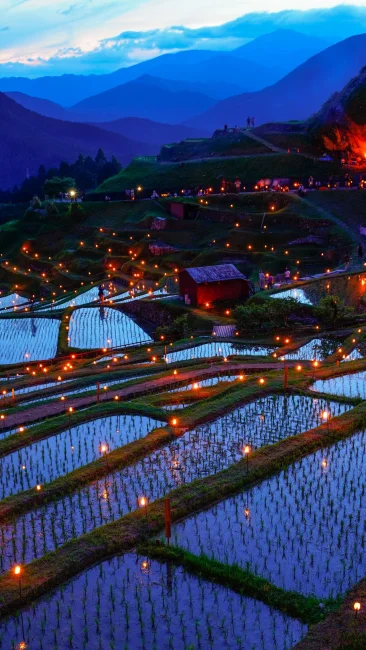 虫送りのローソク（三重県熊野市・丸山千枚田）