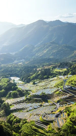 無料スマホ壁紙 新緑の千枚田。AndroidとiPhoneに対応した4K高画質の無料待ち受け画像。三重県熊野市の丸山千枚田で撮影したフリー写真素材