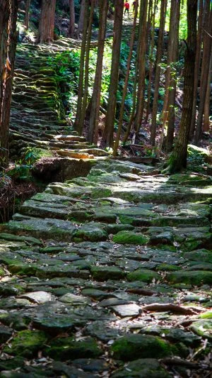 無料スマホ壁紙 波打つ石畳。AndroidとiPhoneに対応した4K高画質の無料待ち受け画像。三重県熊野市の松本峠で撮影したフリー写真素材