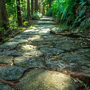 無料スマホ壁紙 新緑の石畳。AndroidとiPhoneに対応した4K高画質の無料待ち受け画像。三重県熊野市の松本峠で撮影したフリー写真素材