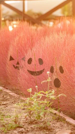 無料スマホ壁紙 コキアのオバケ３兄弟。AndroidとiPhoneに対応した4K高画質の無料待ち受け画像。三重県松阪市の松阪農業公園ベルファームで撮影したフリー写真素材