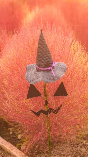 無料スマホ壁紙 帽子を被るコキアのオバケ。AndroidとiPhoneに対応した4K高画質の無料待ち受け画像。三重県松阪市の松阪農業公園ベルファームで撮影したフリー写真素材