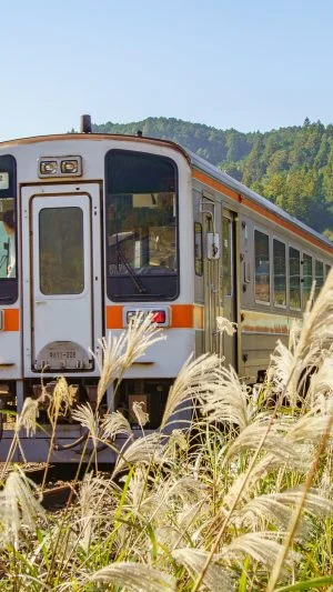 無料壁紙 ススキ列車。PCとデスクトップ壁紙に最適な4K高画質の無料壁紙。三重県鉄道の名松線で撮影したフリー写真素材