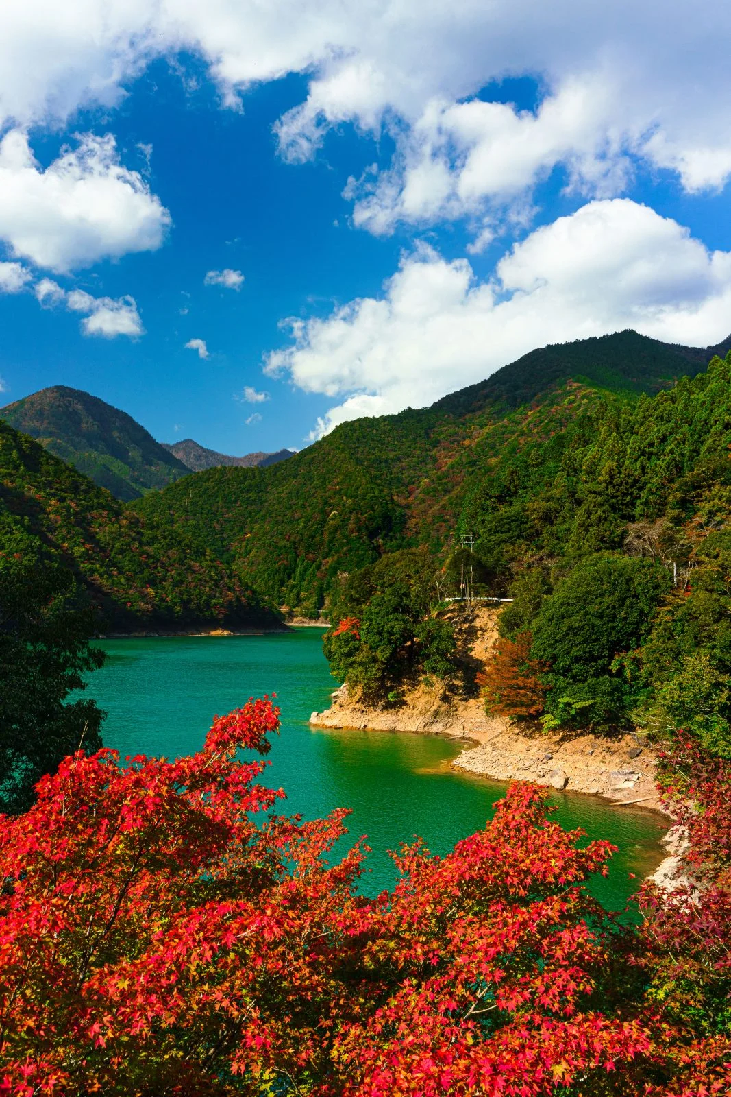 無料スマホ壁紙 宮川ダム湖の紅葉。AndroidとiPhoneに対応した4K高画質の無料待ち受け画像。三重県大台町の宮川ダム湖観光船で撮影したフリー写真素材