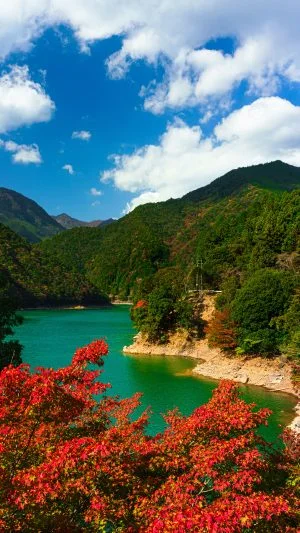 無料スマホ壁紙 宮川ダム湖の紅葉。AndroidとiPhoneに対応した4K高画質の無料待ち受け画像。三重県大台町の宮川ダム湖観光船で撮影したフリー写真素材
