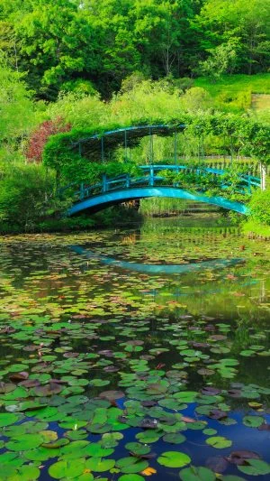 無料スマホ壁紙 まるでモネの池。AndroidとiPhoneに対応した4K高画質の無料待ち受け画像。三重県津市のレッドヒルヒーサーの森で撮影したフリー写真素材