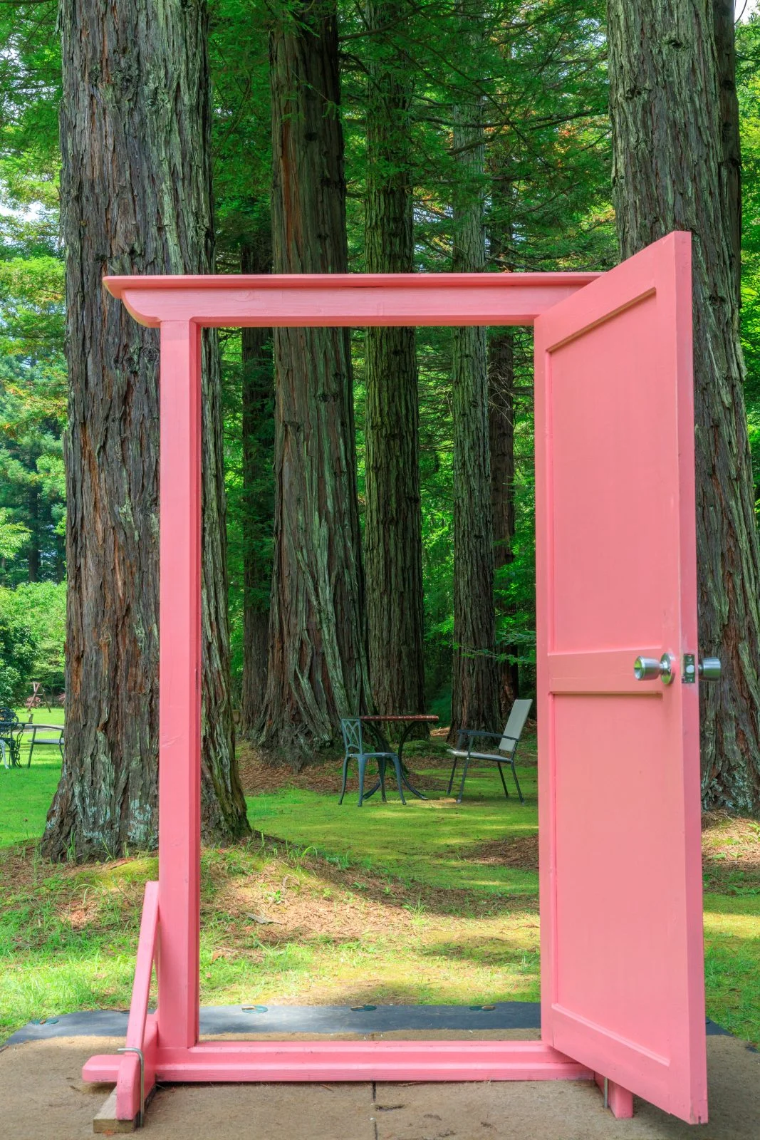 無料スマホ壁紙 どこでもドアの先はまるでアリスの国。AndroidとiPhoneに対応した4K高画質の無料待ち受け画像。三重県津市のレッドヒルヒーサーの森で撮影したフリー写真素材