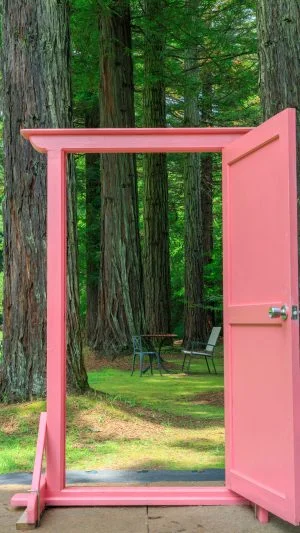 無料スマホ壁紙 どこでもドアの先はまるでアリスの国。AndroidとiPhoneに対応した4K高画質の無料待ち受け画像。三重県津市のレッドヒルヒーサーの森で撮影したフリー写真素材