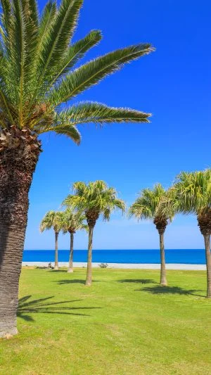 無料スマホ壁紙 まるでハワイ。AndroidとiPhoneに対応した4K高画質の無料待ち受け画像。三重県御浜町の七里御浜ふれあいビーチで撮影したフリー写真素材