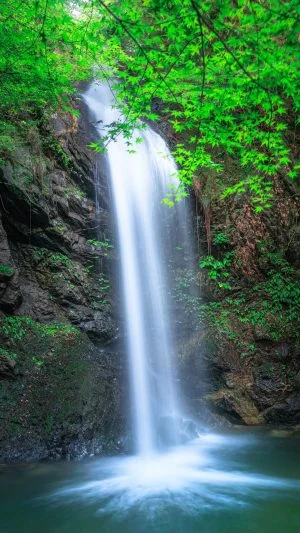 無料スマホ壁紙 青葉と滝。AndroidとiPhoneに対応した4K高画質の無料待ち受け画像。三重県伊賀市の白藤滝で撮影したフリー写真素材