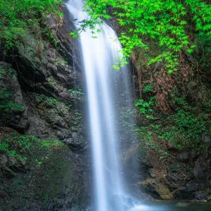 無料スマホ壁紙 青葉と滝。AndroidとiPhoneに対応した4K高画質の無料待ち受け画像。三重県伊賀市の白藤滝で撮影したフリー写真素材