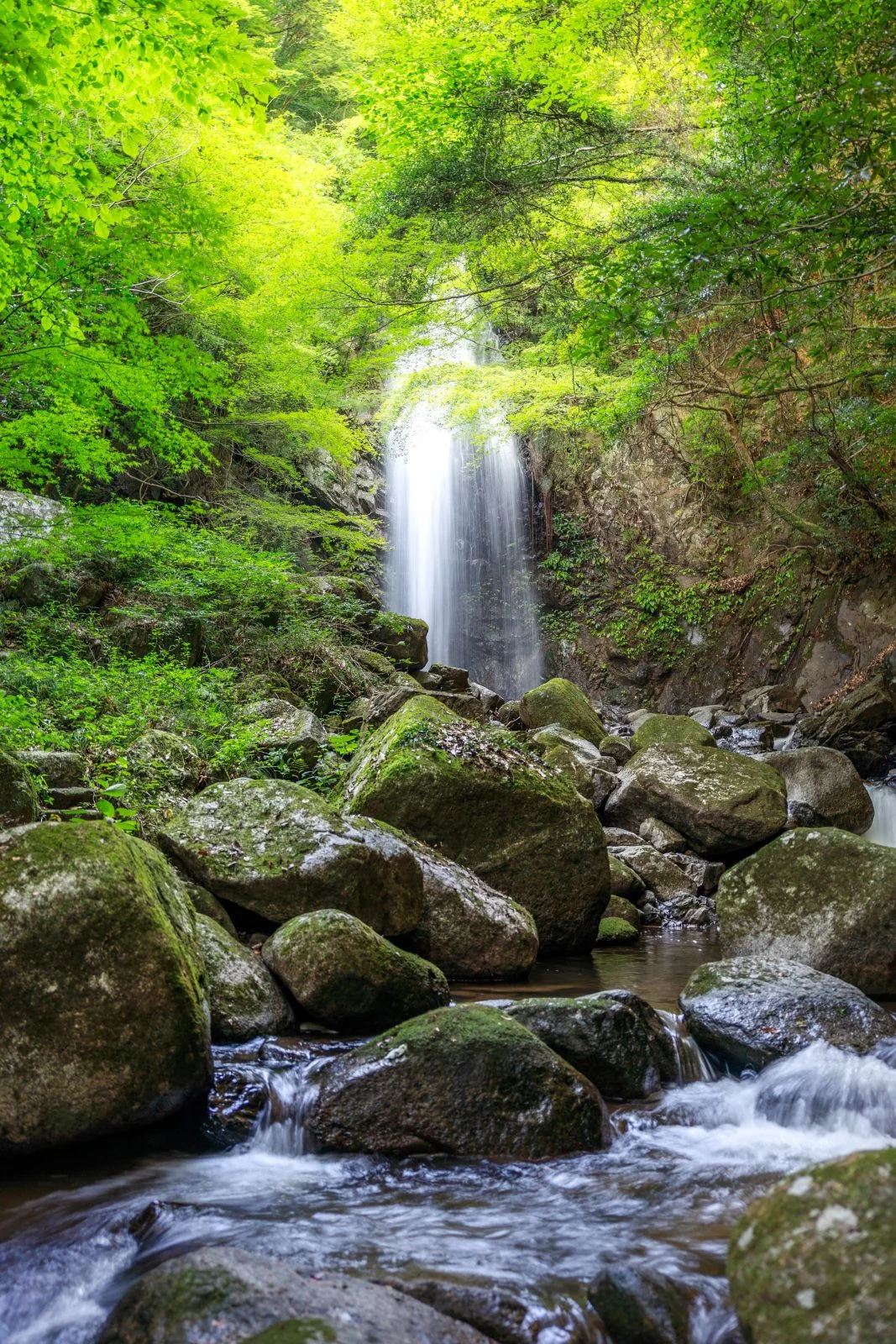 無料スマホ壁紙 マイナスイオンを感じる滝。AndroidとiPhoneに対応した4K高画質の無料待ち受け画像。三重県伊賀市の白藤滝で撮影したフリー写真素材