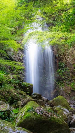 無料壁紙 緑に包まれる滝。PCとデスクトップ壁紙に最適な4K高画質の無料壁紙。三重県伊賀市の白藤滝で撮影したフリー写真素材