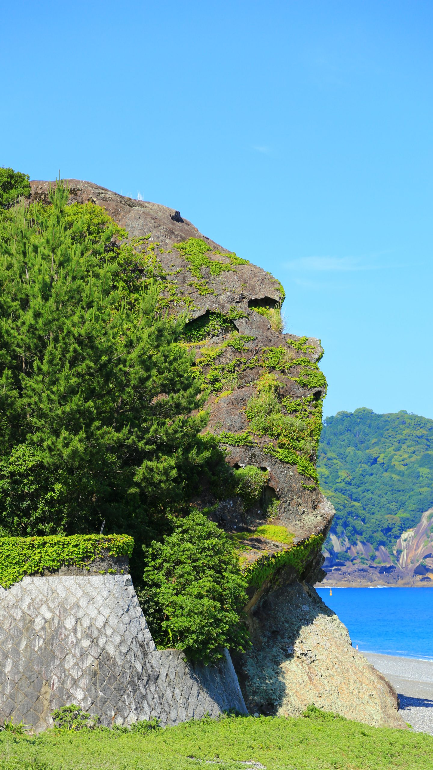 ゴリラ岩(三重県熊野市・獅子岩)