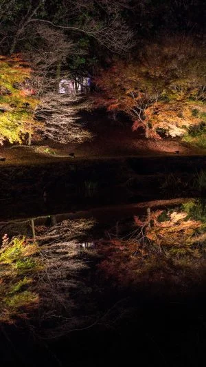 無料壁紙 駐車場近くの紅葉ライトアップのリフレクション。PCとデスクトップ壁紙に最適な4K高画質の無料壁紙。三重県玉城町の田丸城跡で撮影したフリー写真素材