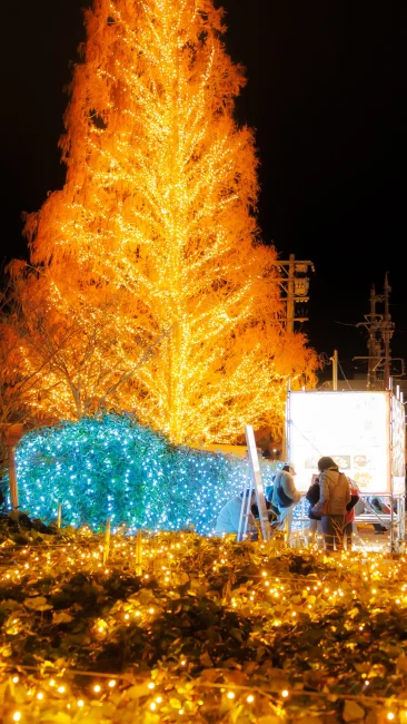 無料壁紙 マルシェで賑わう広場。PCとデスクトップ壁紙に最適な4K高画質の無料壁紙。三重県松阪市の鈴の森公園で撮影したフリー写真素材