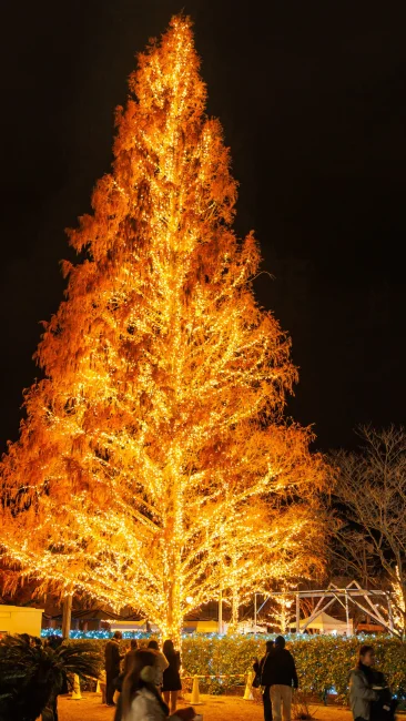 無料壁紙 松阪の一夜 クリスマスライトアップ。PCとデスクトップ壁紙に最適な4K高画質の無料壁紙。三重県松阪市の鈴の森公園で撮影したフリー写真素材