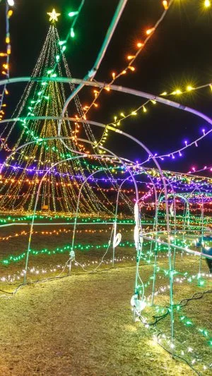 無料壁紙 子供も大人も通れる長い光のトンネル。PCとデスクトップ壁紙に最適な4K高画質の無料壁紙。三重県紀宝町の光の祭典 in 紀宝で撮影したフリー写真素材