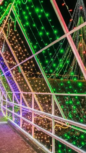 無料壁紙 光のトンネルを渡る子供たち。PCとデスクトップ壁紙に最適な4K高画質の無料壁紙。三重県紀宝町の光の祭典 in 紀宝で撮影したフリー写真素材