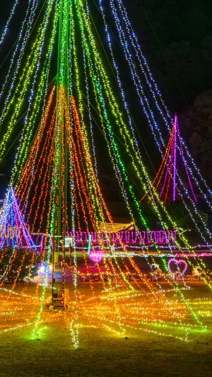 無料壁紙 20mのツリーと園内のイルミの光景。PCとデスクトップ壁紙に最適な4K高画質の無料壁紙。三重県紀宝町の光の祭典 in 紀宝で撮影したフリー写真素材