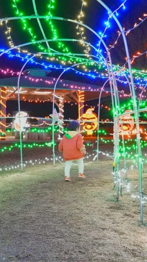 無料壁紙 光のトンネルを歩く子供。PCとデスクトップ壁紙に最適な4K高画質の無料壁紙。三重県紀宝町の光の祭典 in 紀宝で撮影したフリー写真素材