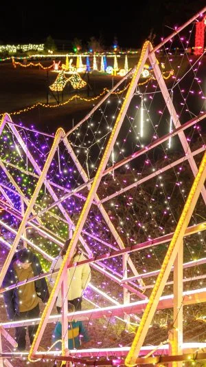 無料壁紙 光のトンネルを進む親子。PCとデスクトップ壁紙に最適な4K高画質の無料壁紙。三重県紀宝町の光の祭典 in 紀宝で撮影したフリー写真素材