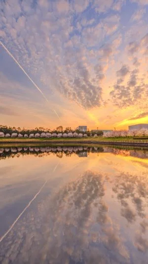 無料スマホ壁紙 夕焼けと桜のリフレクション。AndroidとiPhoneに対応した4K高画質の無料待ち受け画像。三重県津市の中勢グリーンパークで撮影したフリー写真素材