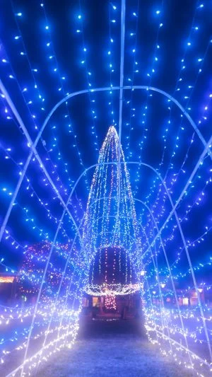 無料スマホ壁紙 青の光トンネルと巨大ツリー。AndroidとiPhoneに対応した4K高画質の無料待ち受け画像。三重県津市の緑の風公園（久居駅東口）で撮影したフリー写真素材