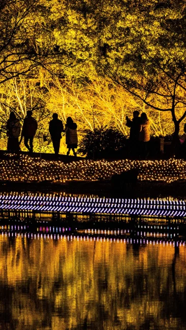 無料壁紙 池の水面に映るイルミネーション。PCとデスクトップ壁紙に最適な4K高画質の無料壁紙。三重県桑名市のなばなの里で撮影したフリー写真素材